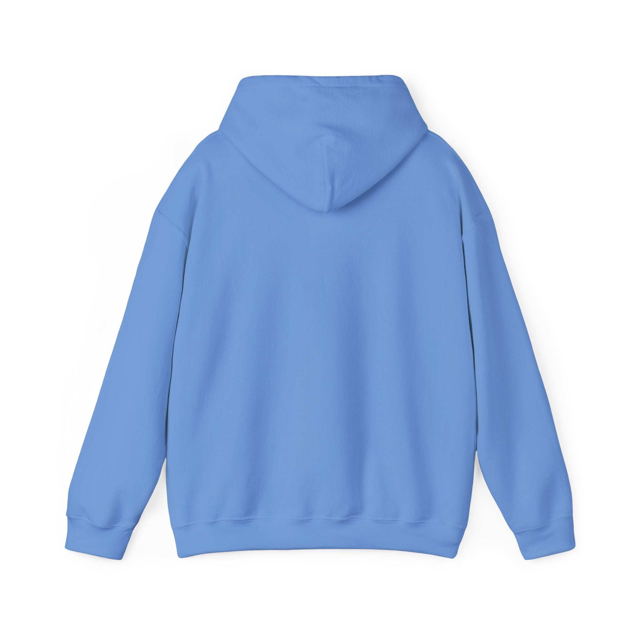 Doodle Dad Sweatshirt for Dog Lovers