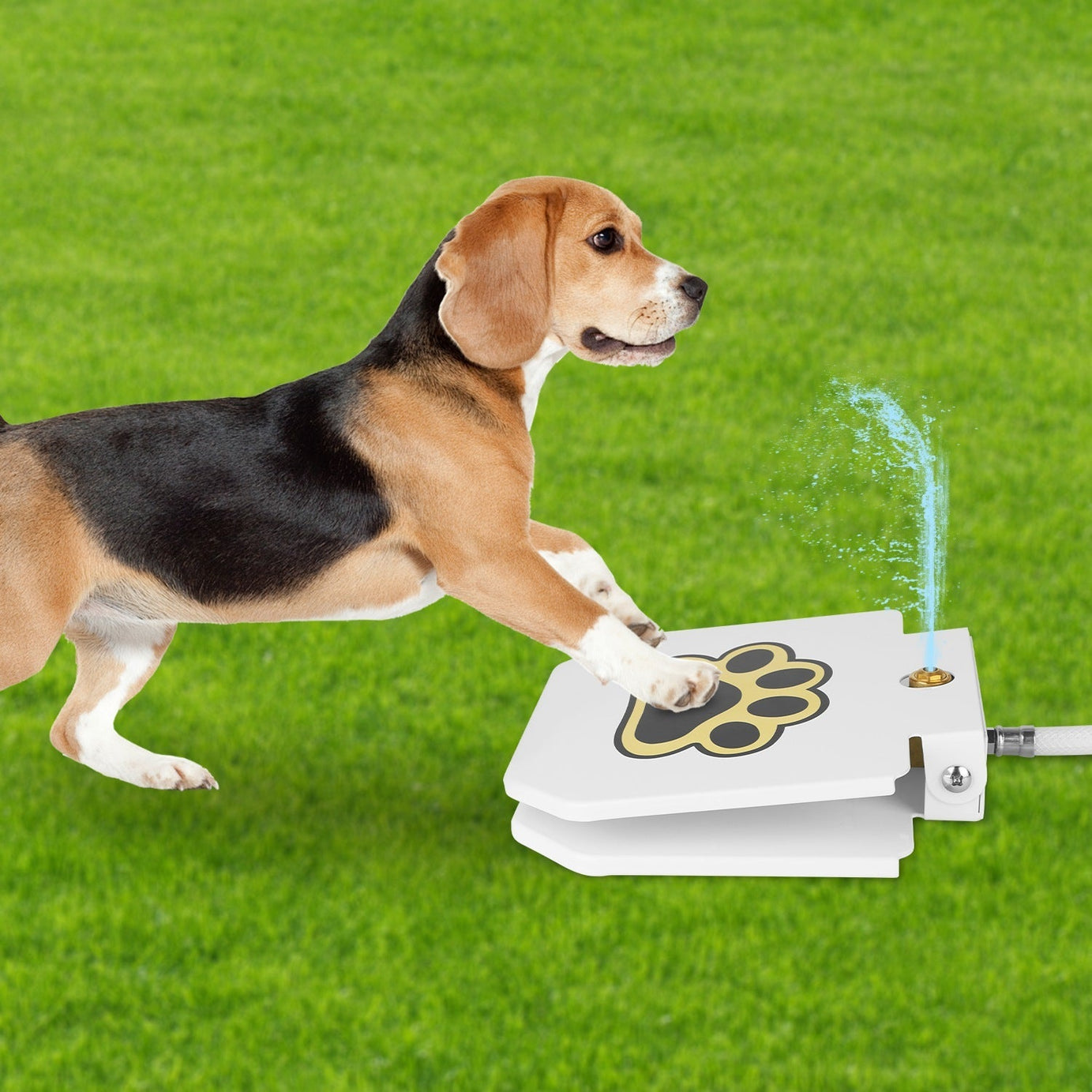 Outdoor Dog Water Fountain - Step-Activated Pedal