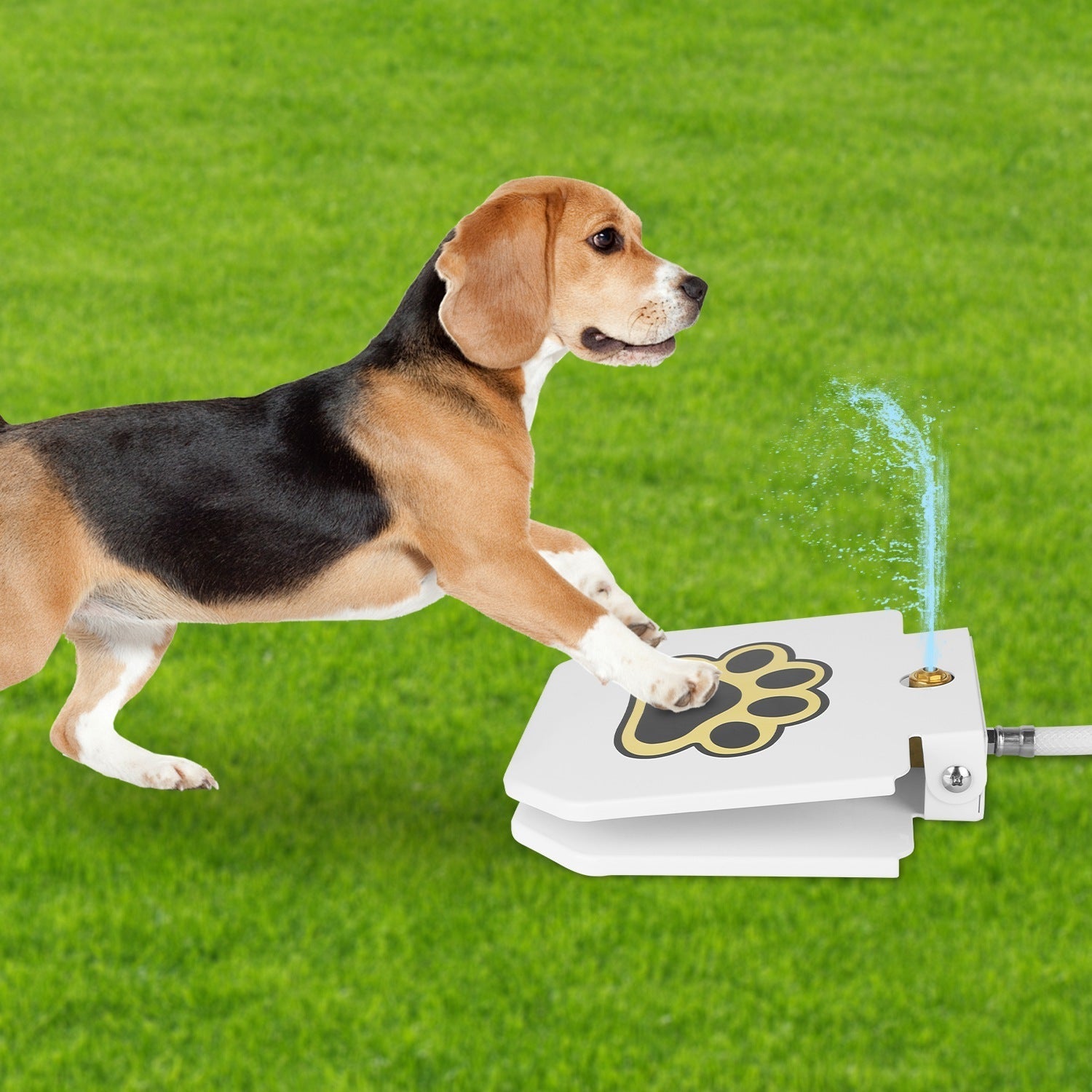 Outdoor Dog Water Fountain - Step-Activated Pedal