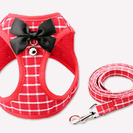 Cat Harness and Leash Set - Chest Strap