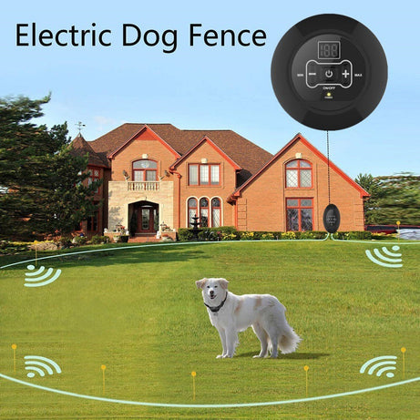 Electronic Pet Fence - Wireless Dog Training System