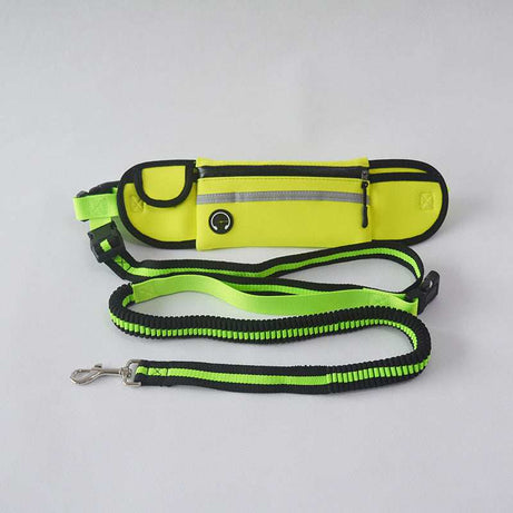Waterproof Reflective Sports Running Pet Waist Bag with Traction Rope Leash