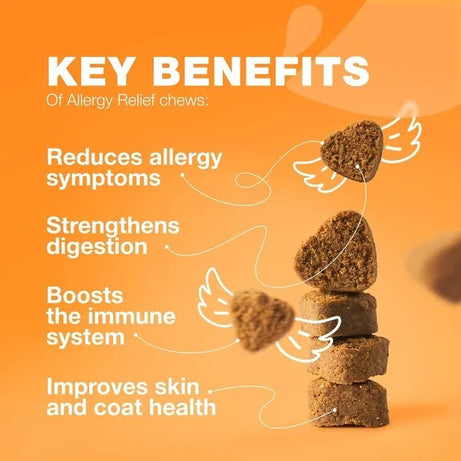 Dog Allergy Relief Chews - Itch Support