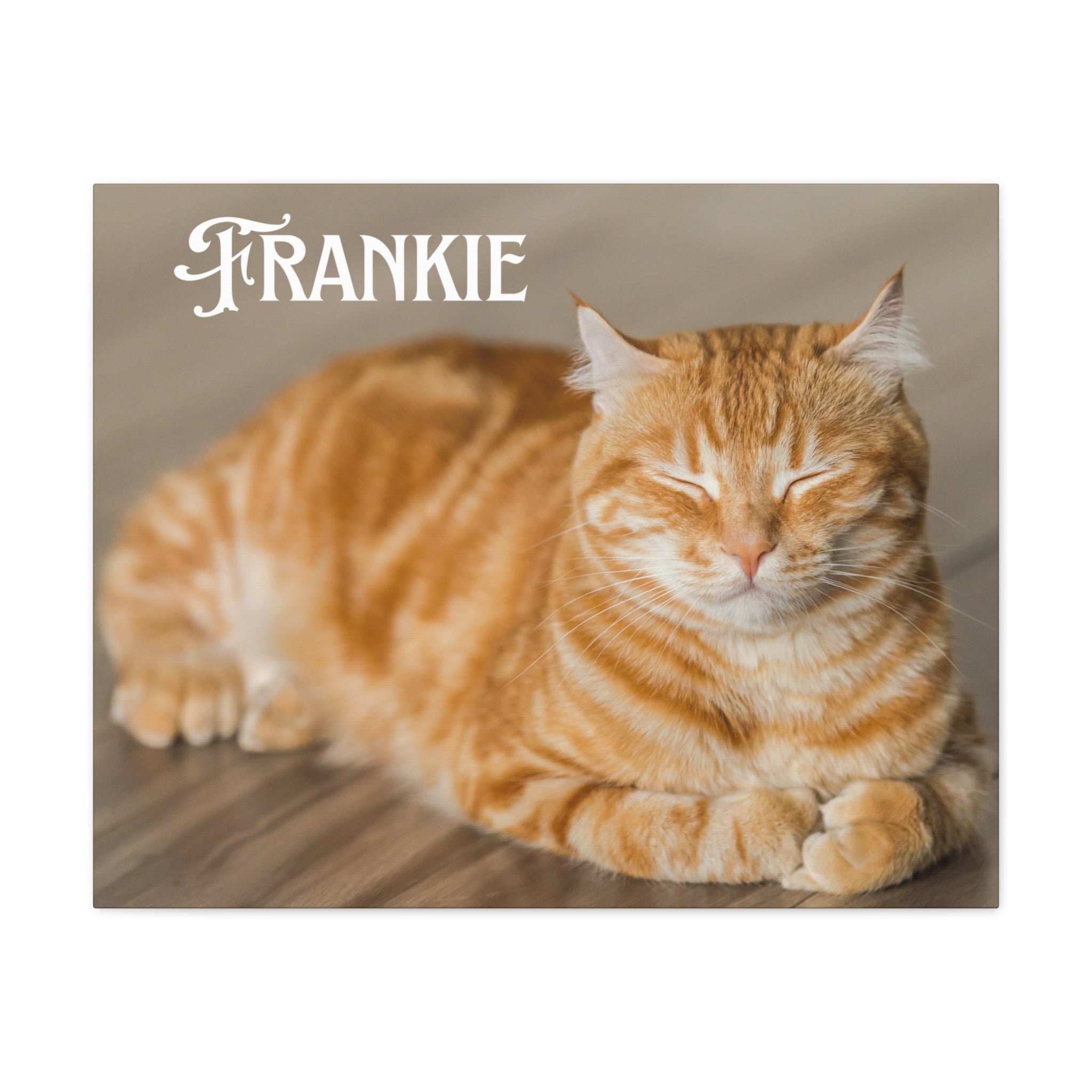 Personalized Landscape Photo Canvas Wall Art - Stretch Framed Print for Pet Lovers