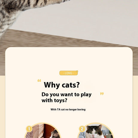 Interactive Cat Toy - Automatic Ball Motion