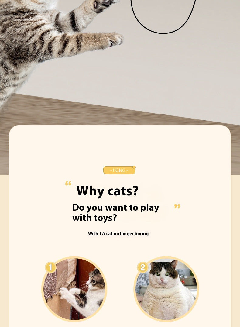 Interactive Cat Toy - Automatic Ball Motion