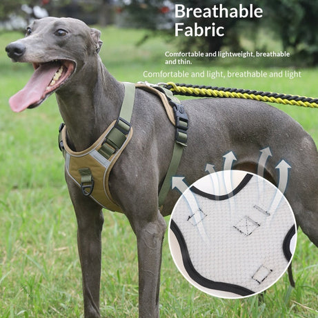 Adjustable Dog Harness - Large Chest Style with Leash