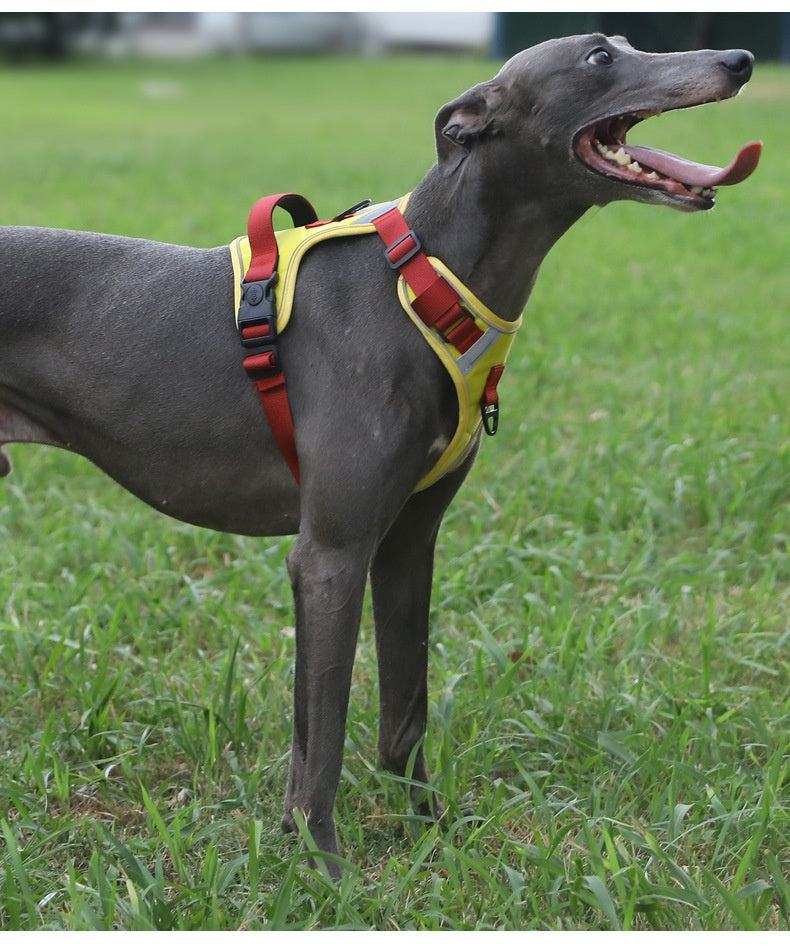 Adjustable Dog Harness - Large Chest Style with Leash