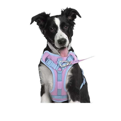 Dog Collar Harness Hand Holding and Rope Leash - Easy Control
