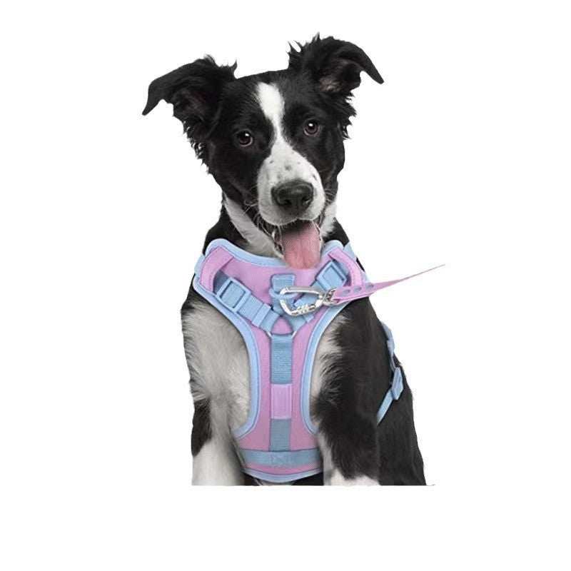 Dog Collar Harness Hand Holding and Rope Leash - Easy Control