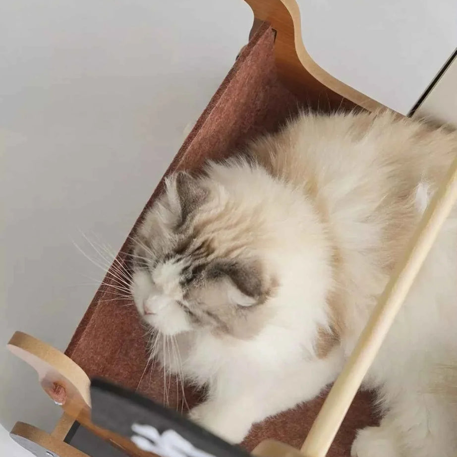 Pirate Ship Style Cat House - Rocking Pet Bed