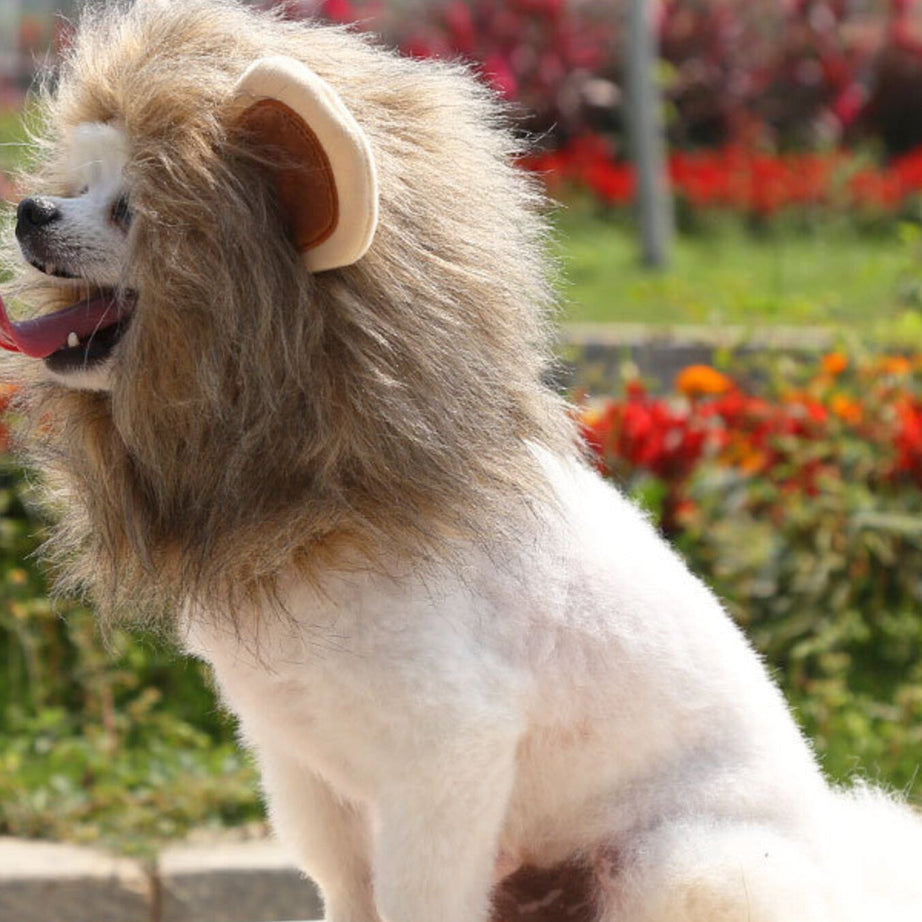 Pet Lion Mane Hat - Funny Costume Headwear for Cats and Dogs