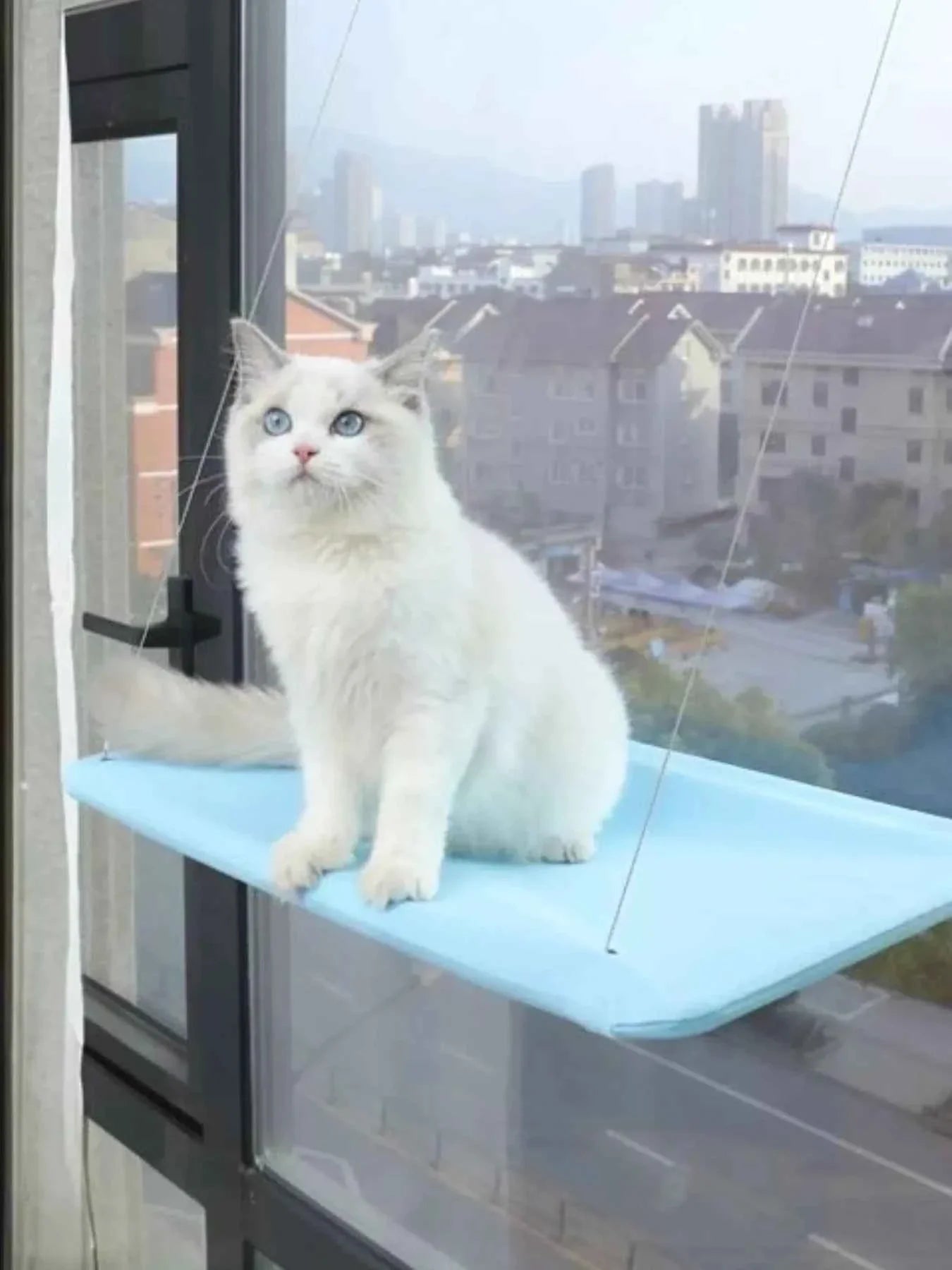 Cat Window Perch - Hammock with Suction Cups
