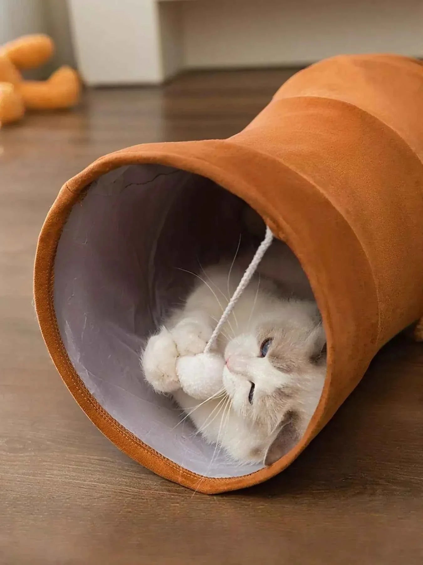 Foldable Cat Tunnel Toy - Peephole Bear Window
