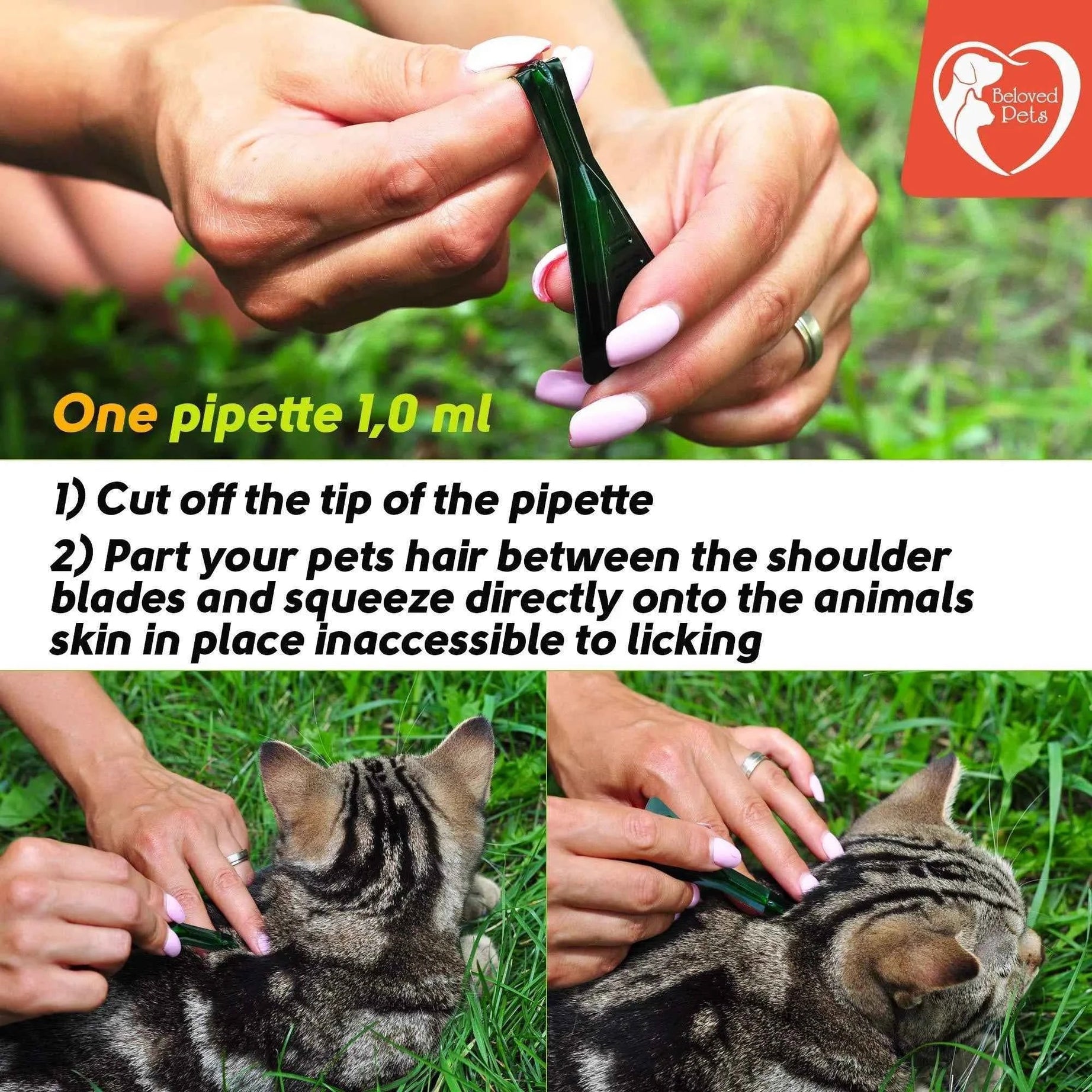 Natural Flea and Tick Treatment Drops - Dogs Cats Rabbits