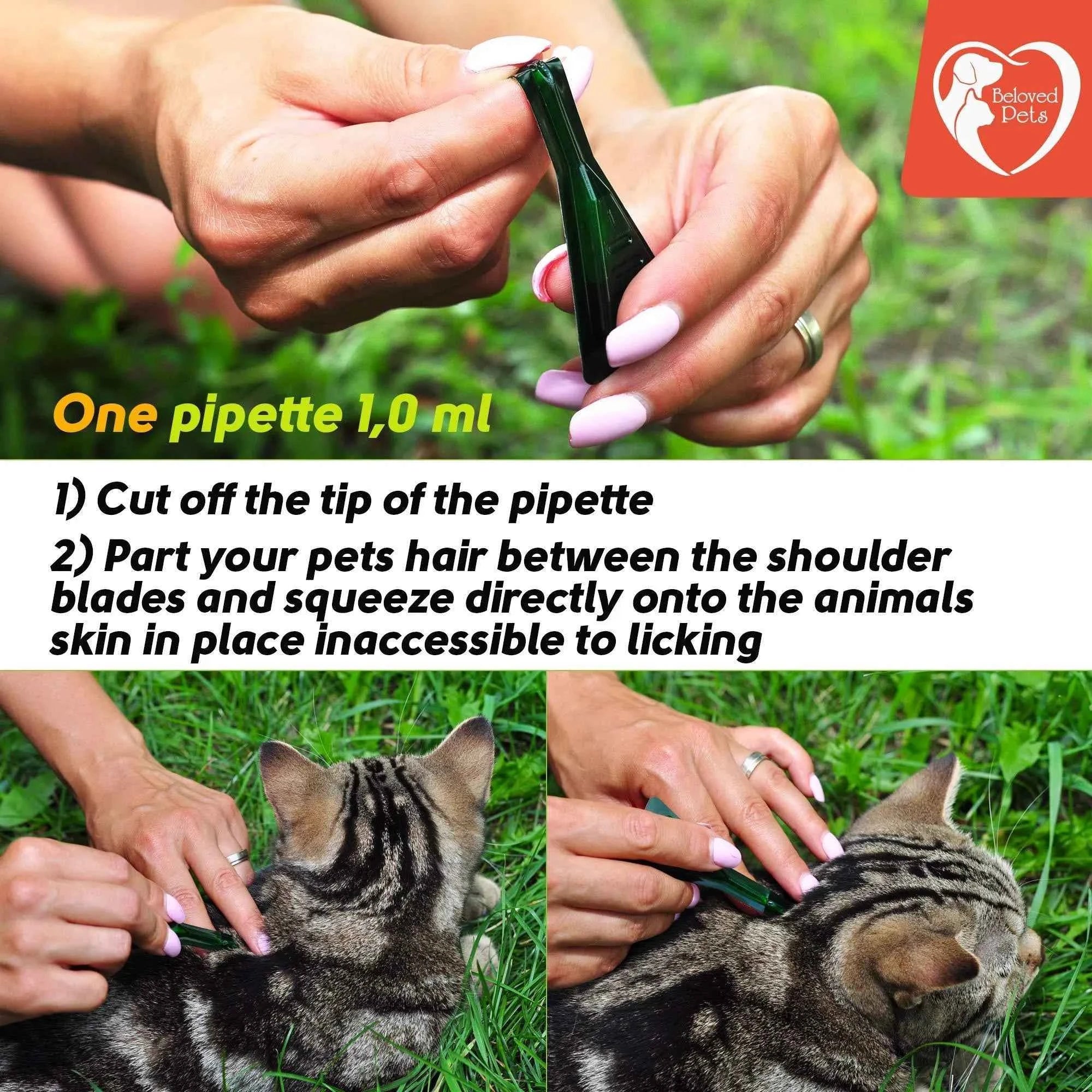 Natural Flea and Tick Treatment Drops - Dogs Cats Rabbits