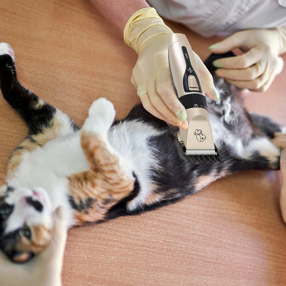 USB Rechargeable Pet Clippers - Professional Cordless Kit