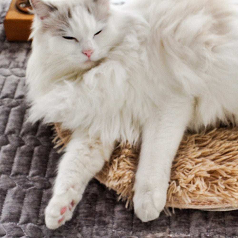 USB Heated Pet Bed - Energy-Saving Warming Mat for Pets