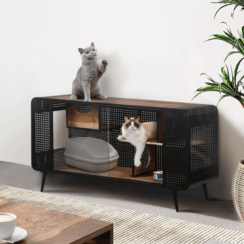 Stylish and Functional Cat House with Tempered Glass