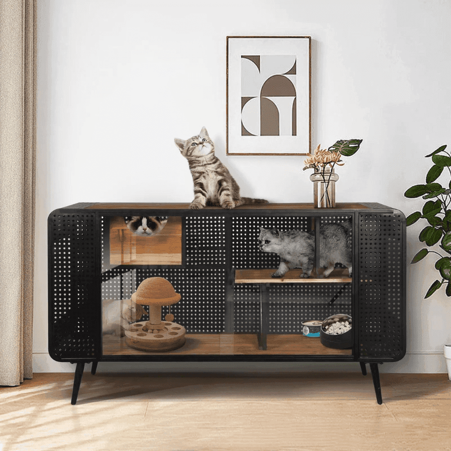 Stylish and Functional Cat House with Tempered Glass