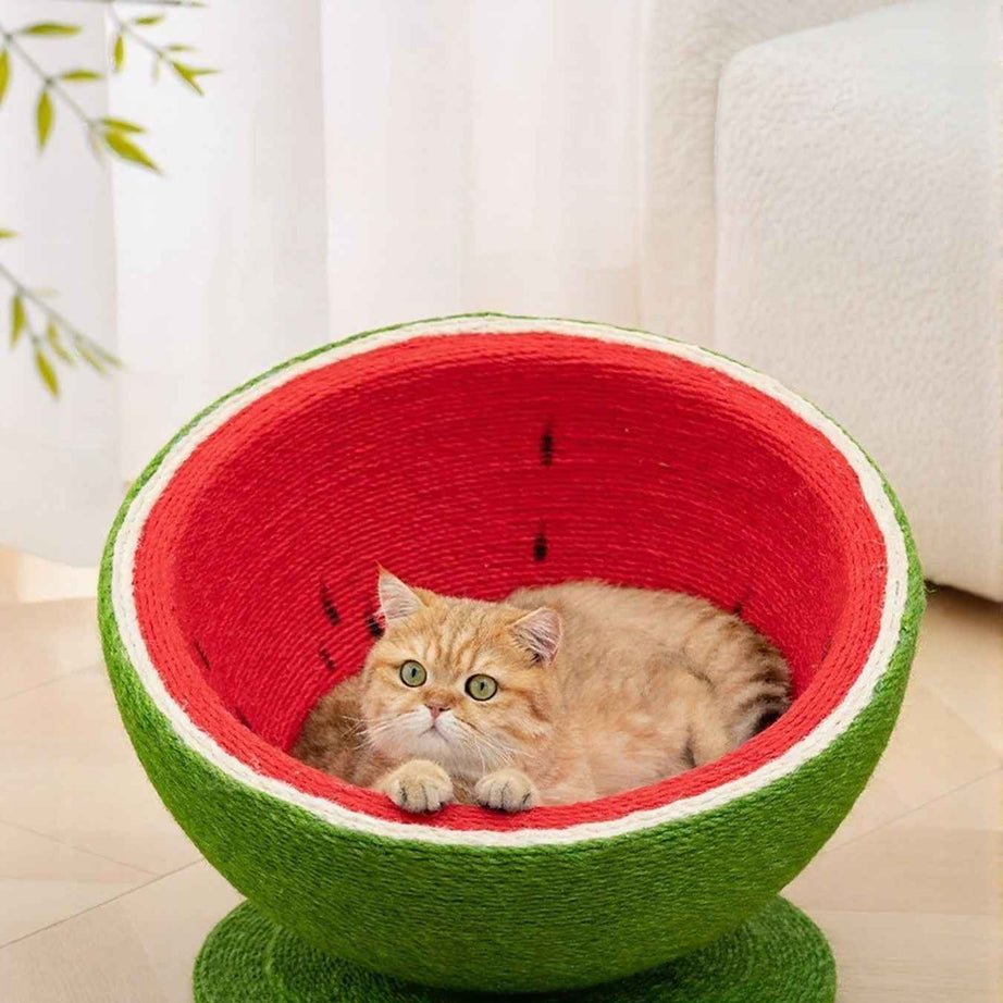 Cat Scratching Post Nest - Purr-fect Watermelon Shaped