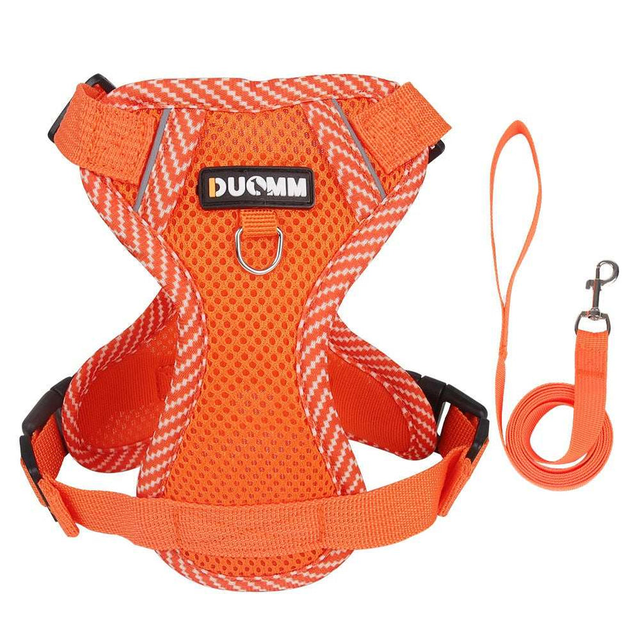 Fully Adjustable Cat Vest Pet Harness with Matching Leash