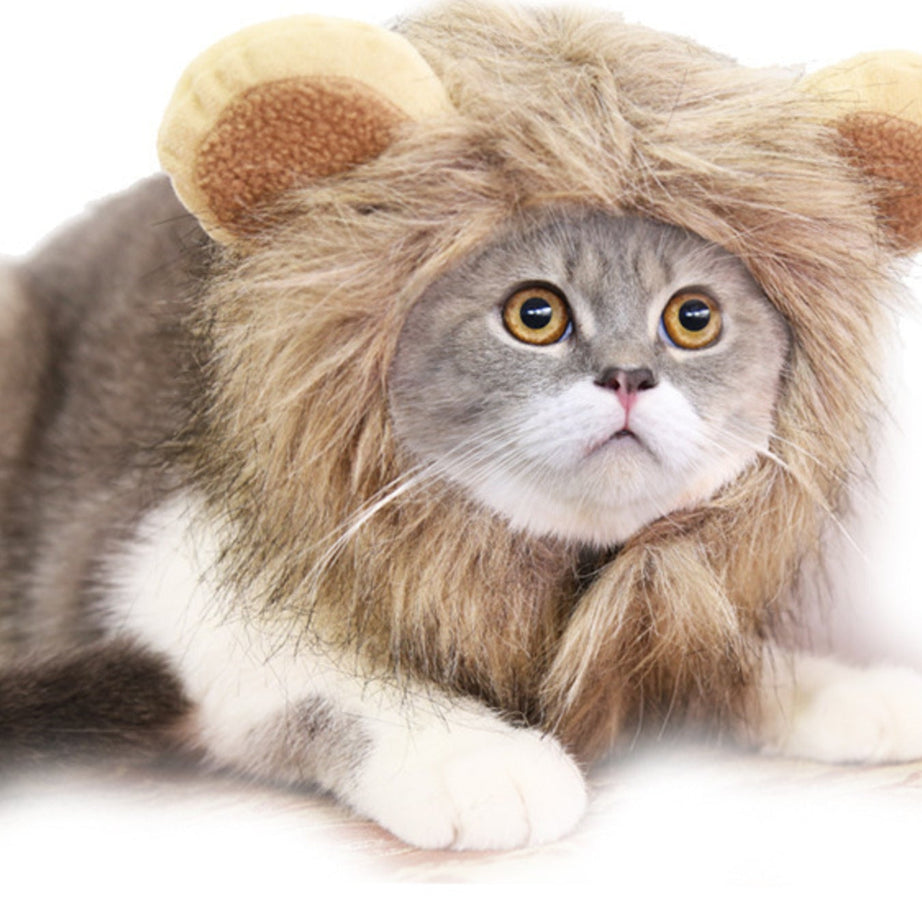 Pet Lion Mane Hat - Funny Costume Headwear for Cats and Dogs