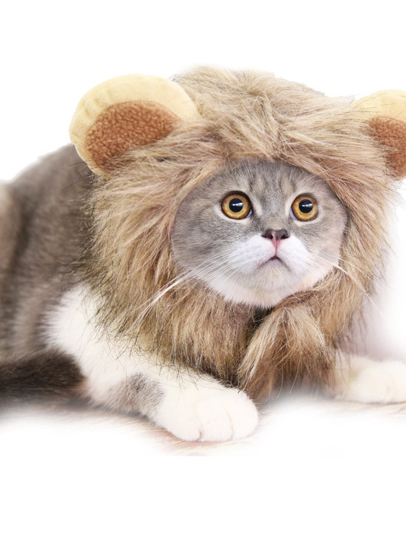 Pet Lion Mane Hat - Funny Costume Headwear for Cats and Dogs