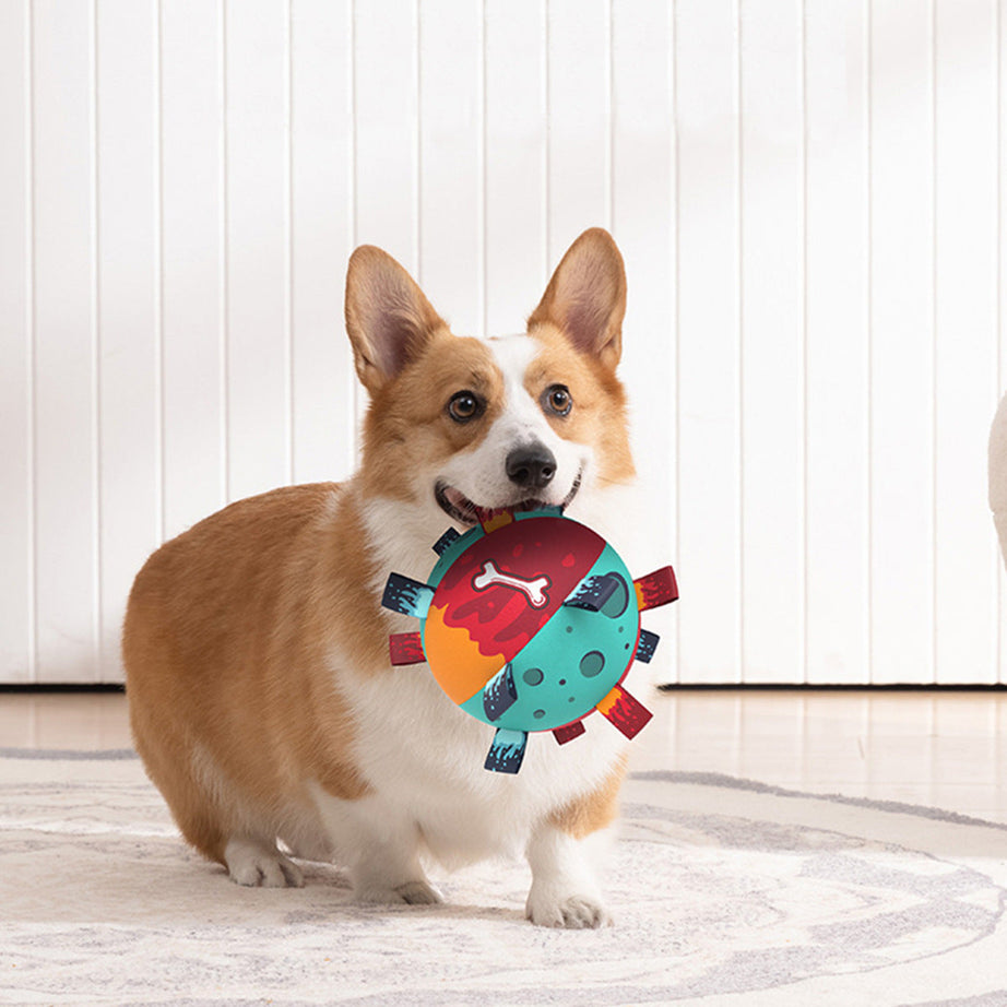 Dog Soccer Ball - Interactive Tug Toy with Straps