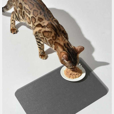 Pet Feeding Mat for Dogs and Cats - Washable And Reusable Placemat