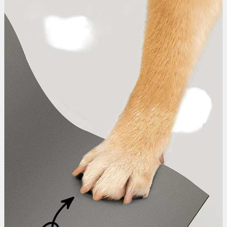Pet Feeding Mat for Dogs and Cats - Washable And Reusable Placemat