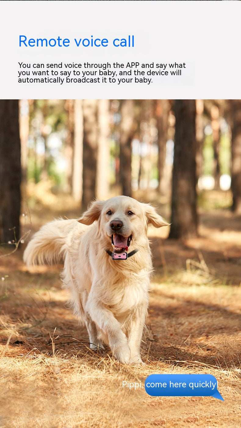 Pet Tracking Tool - Attach to Cat or Dog Collar