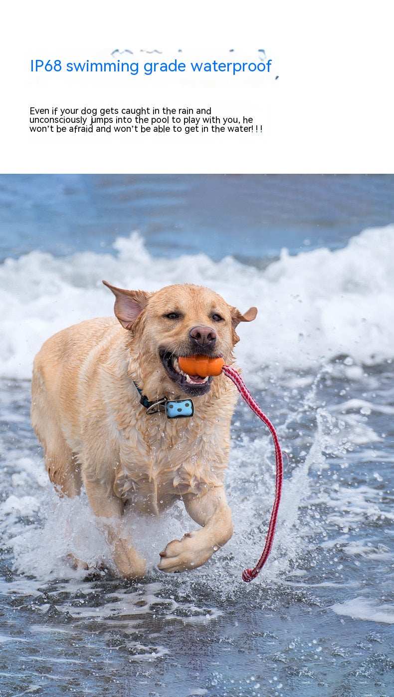 Pet Tracking Tool - Attach to Cat or Dog Collar