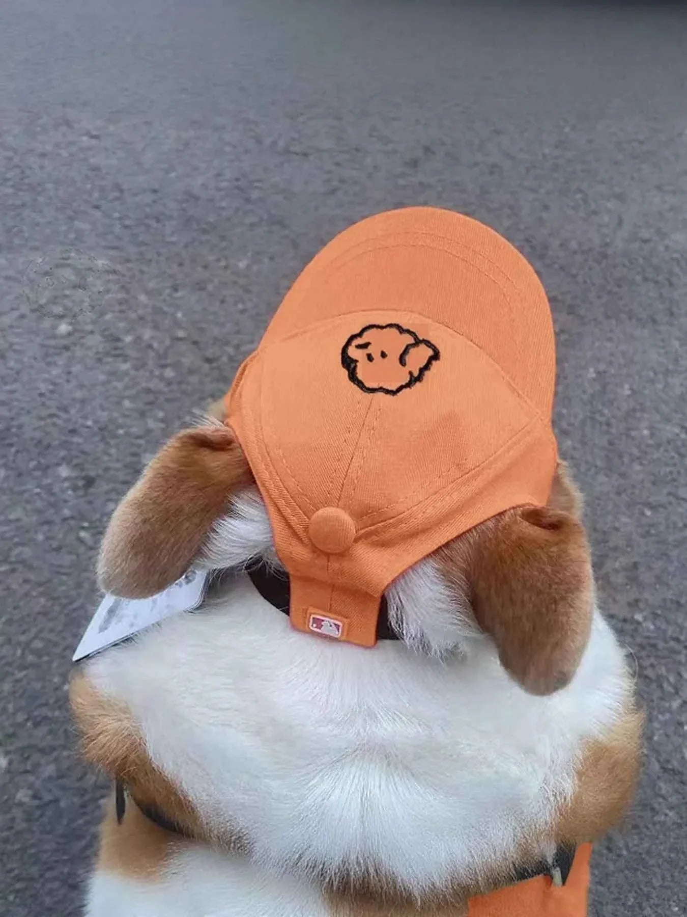 Embroidered Pet Baseball Cap - Over Ear Style