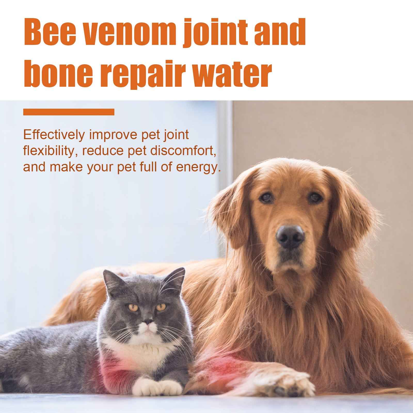 Pet Joint Relief Oil 30ml - Bee Venom Topical Supplement Dogs and Cats