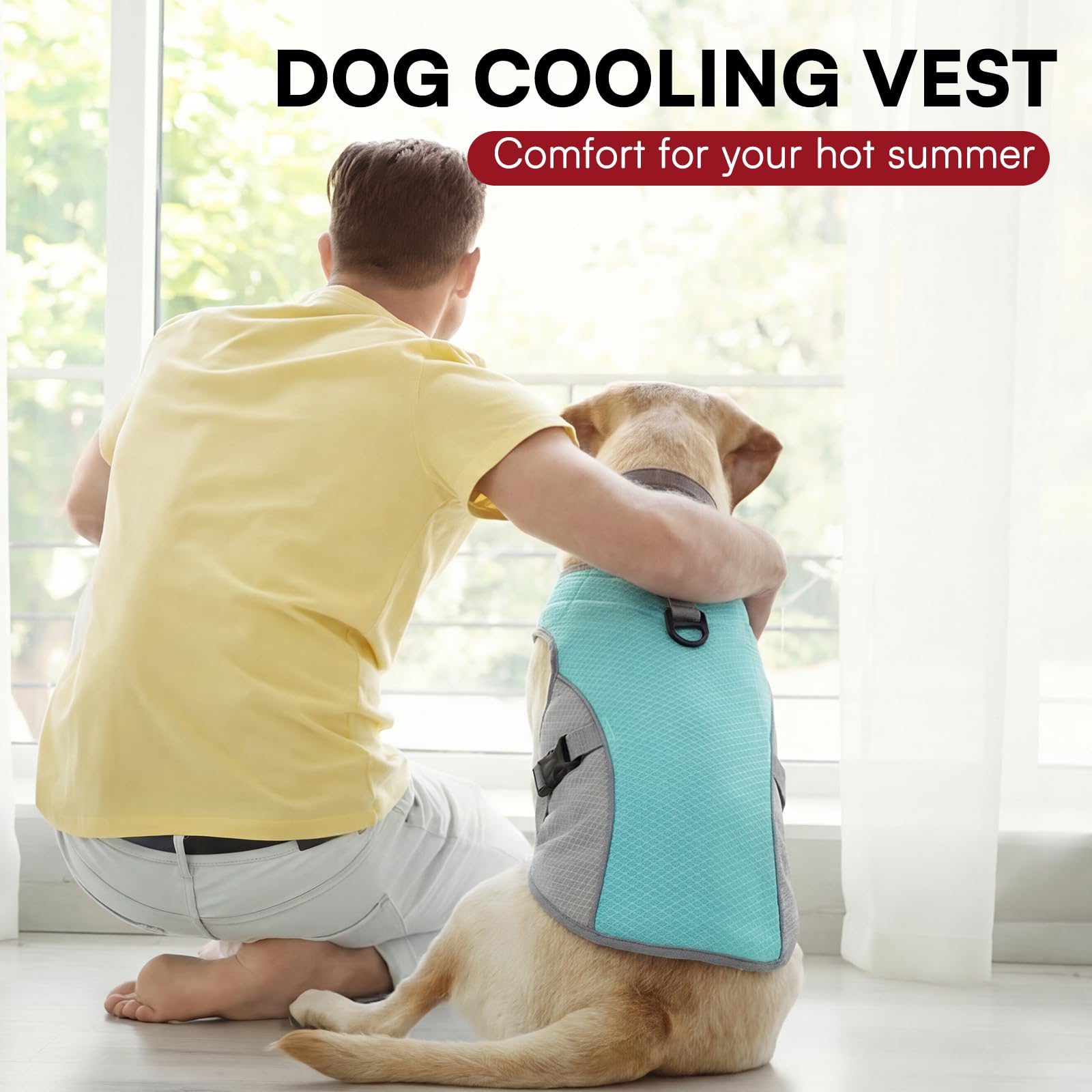 Dog Cooling Vest with D-Ring – For Active Pup Adventures