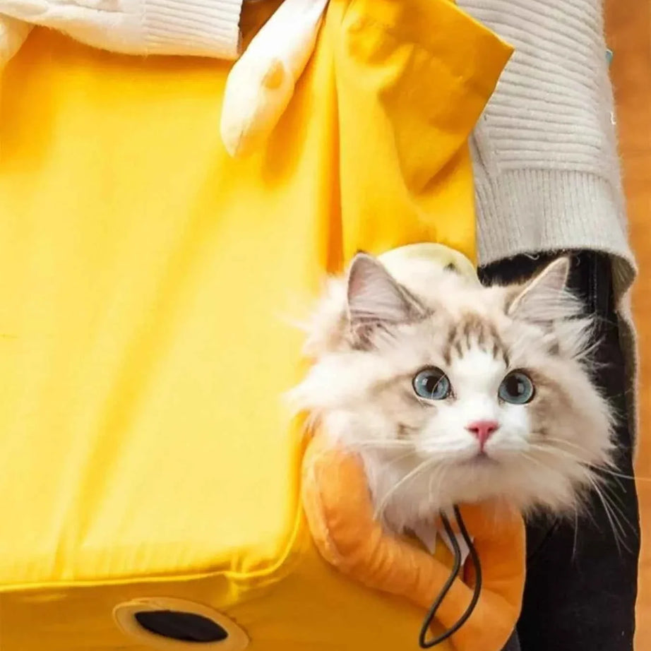 Portable Pet Bag - Breathable Canvas Carrier