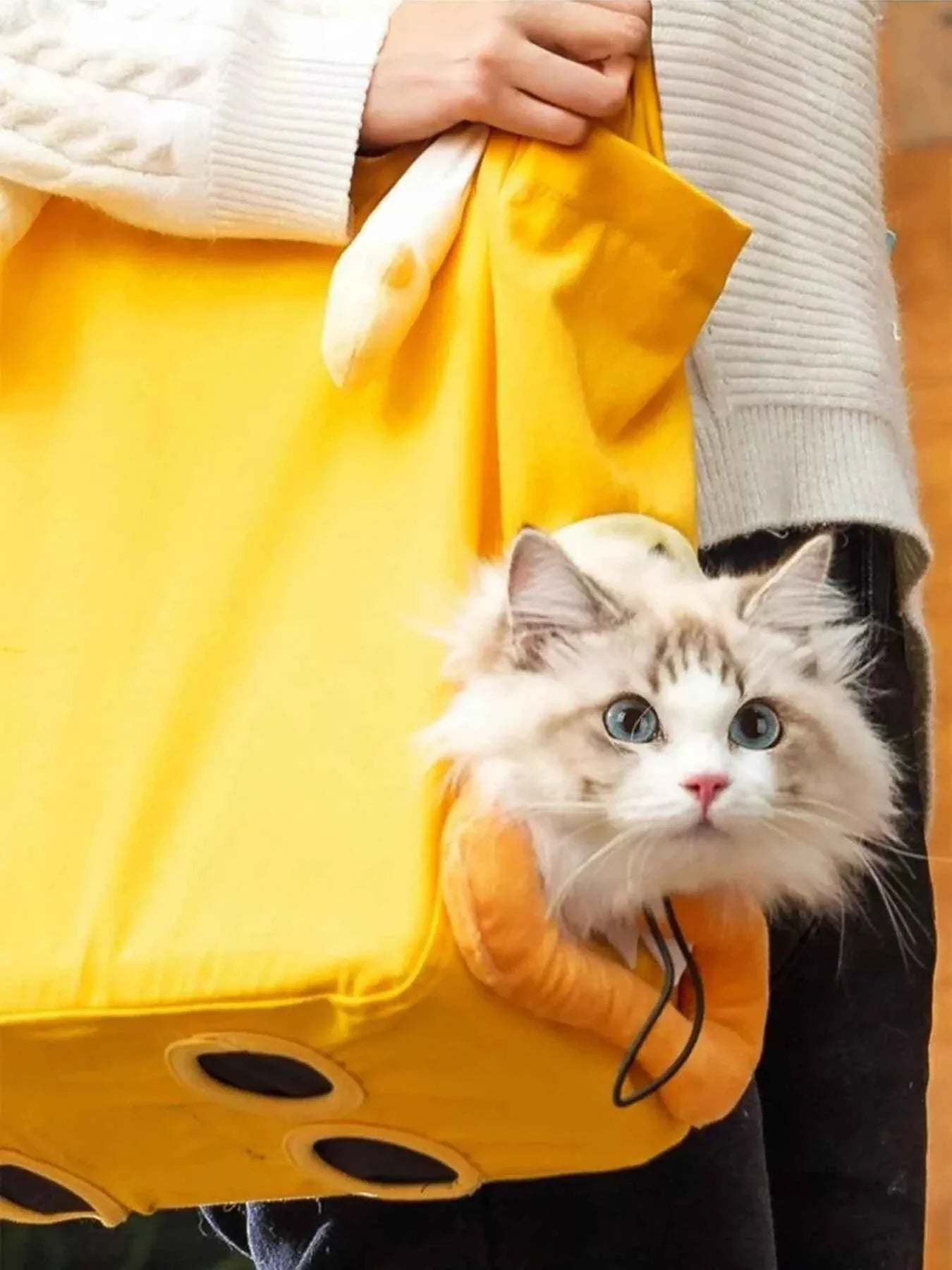 Portable Pet Bag - Breathable Canvas Carrier