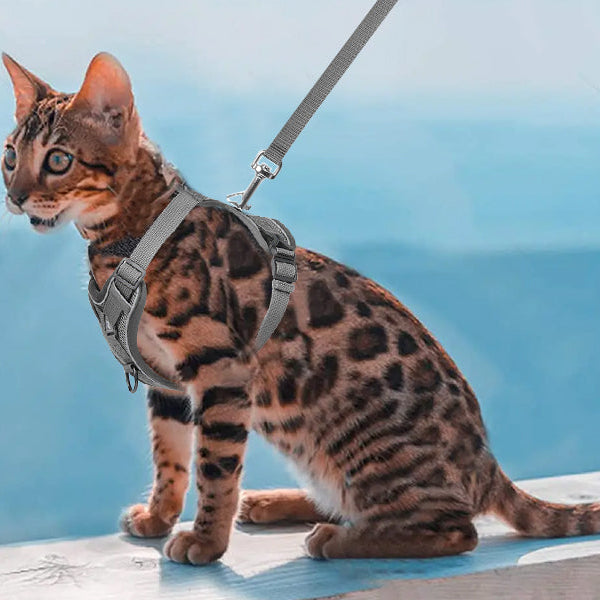 Anti-Escape Cat Harness - Breathable Mesh Leash Set