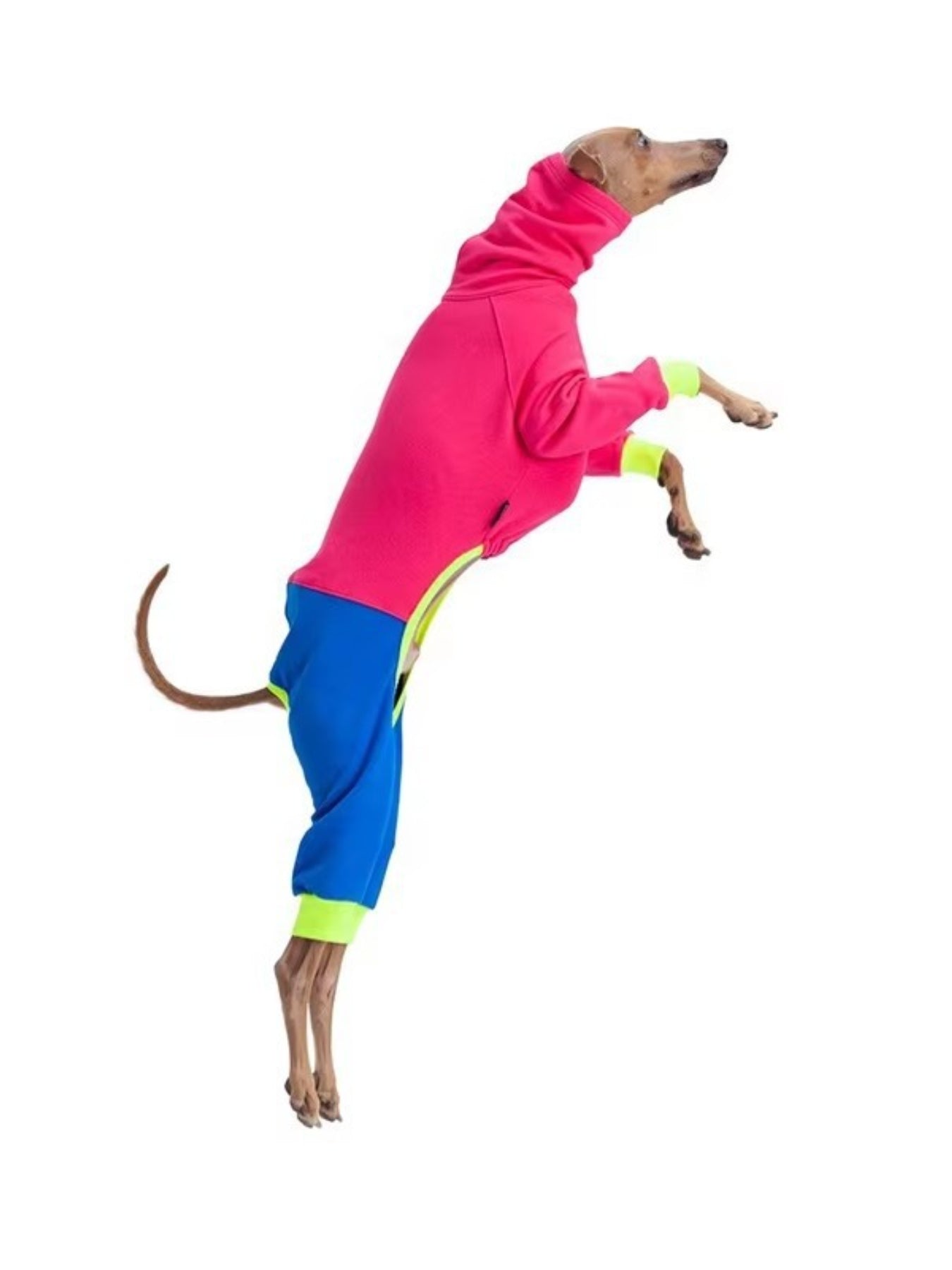 Dog Color Block Jumpsuit - Turtleneck Four-Leg Onesie Extended Sizes