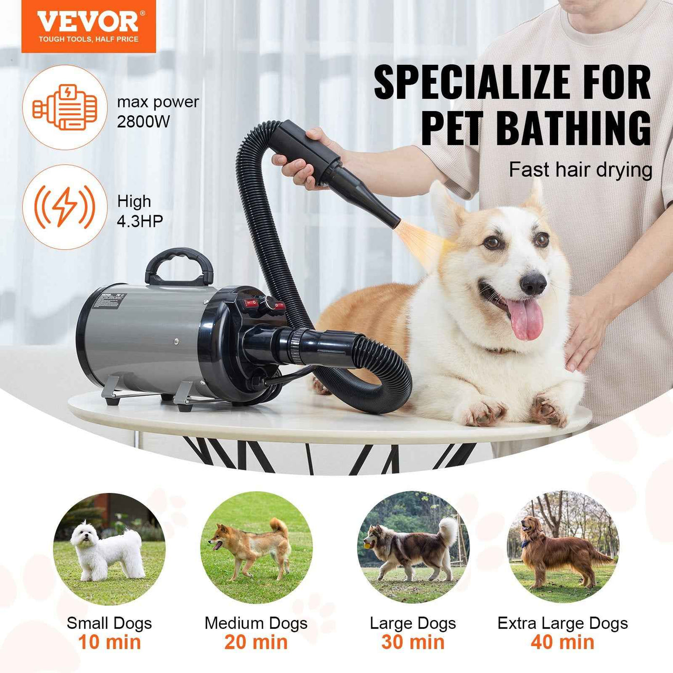 Dog Grooming Blow Dryer 2800W - High Velocity Pet Hair Dryer with 4 Nozzles