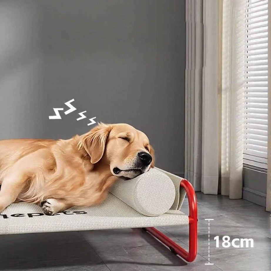 Foldable Pet Bed - Portable Easy Storage