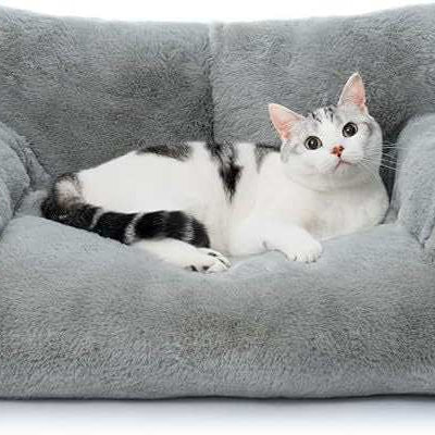 Pet Mini Sofa for Cats and Dogs - Luxury Couch Bed