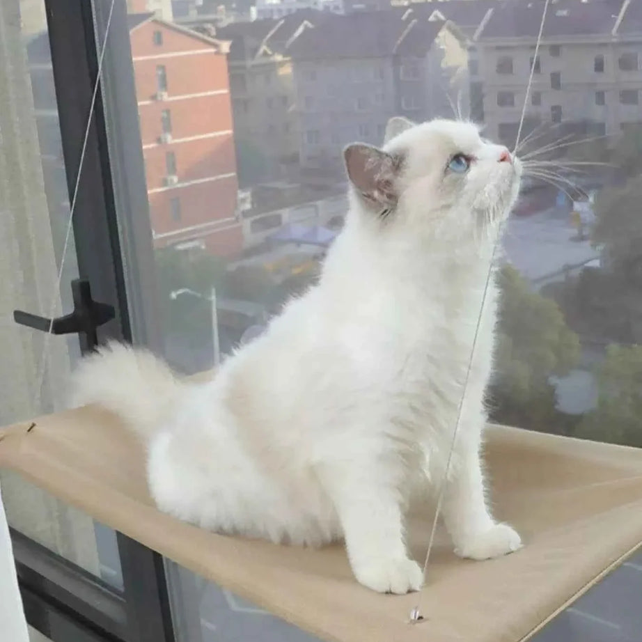 Cat Window Perch - Hammock with Suction Cups