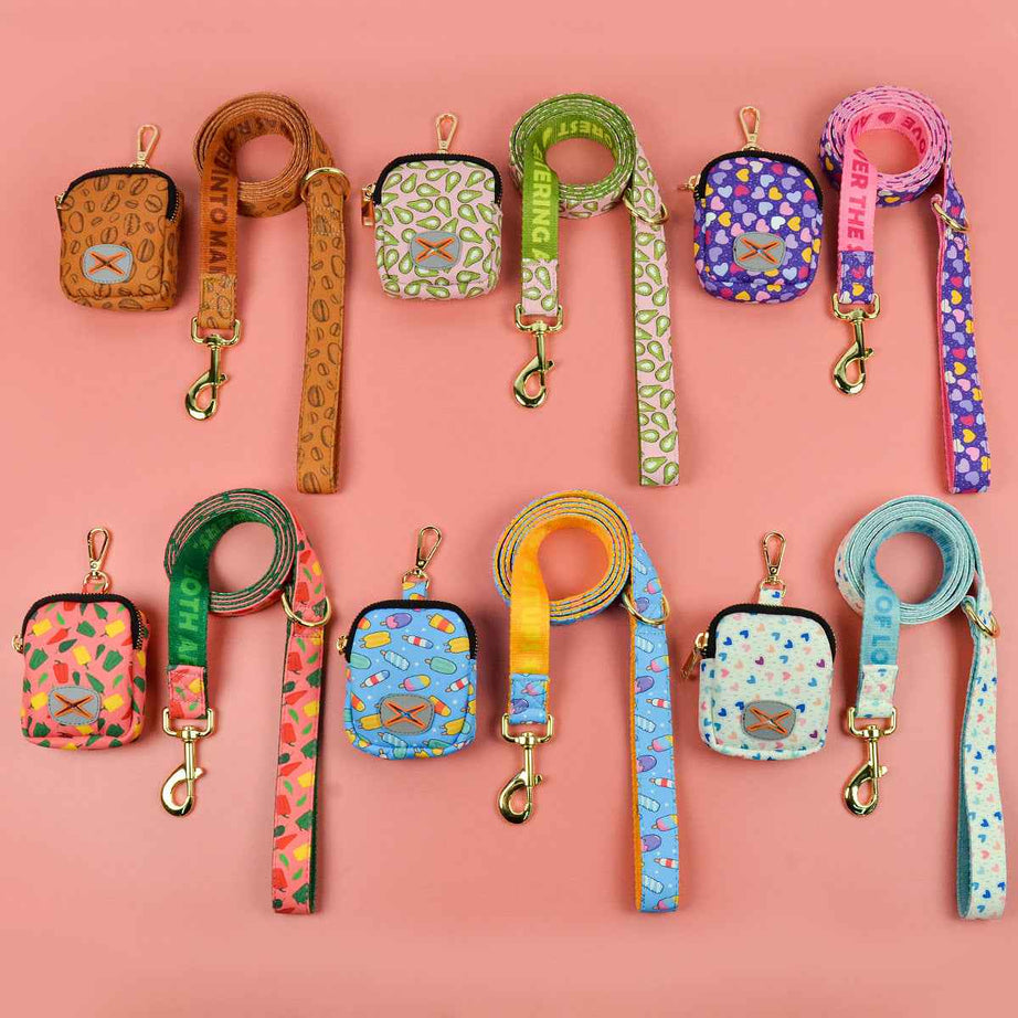 Dog Leash with Poop Bag Holder - Matching Set