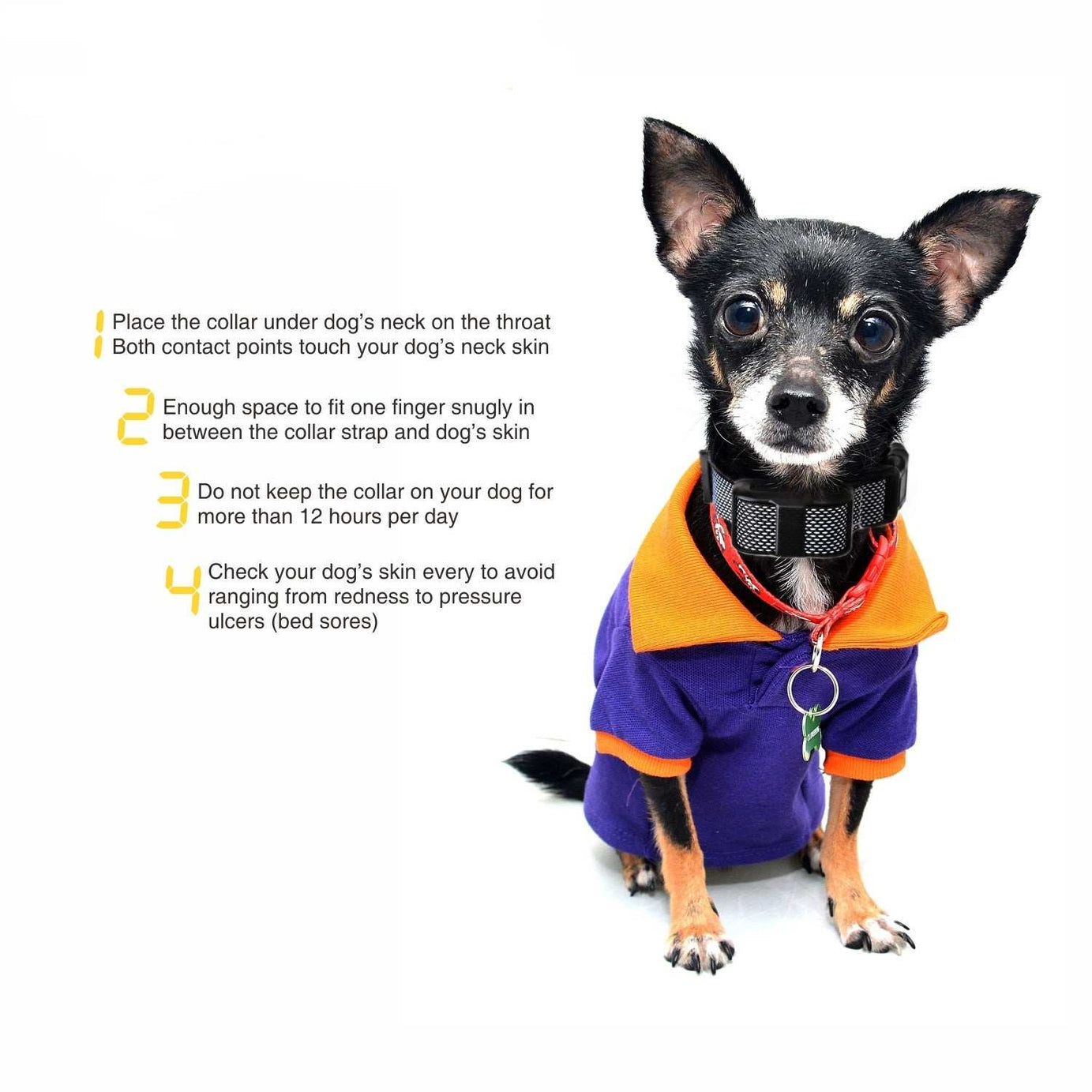Automatic Anti-Barking Stop Training Collar - Small to Large Dogs