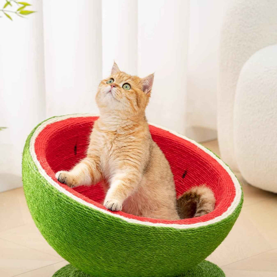 Cat Scratching Post Nest - Purr-fect Watermelon Shaped