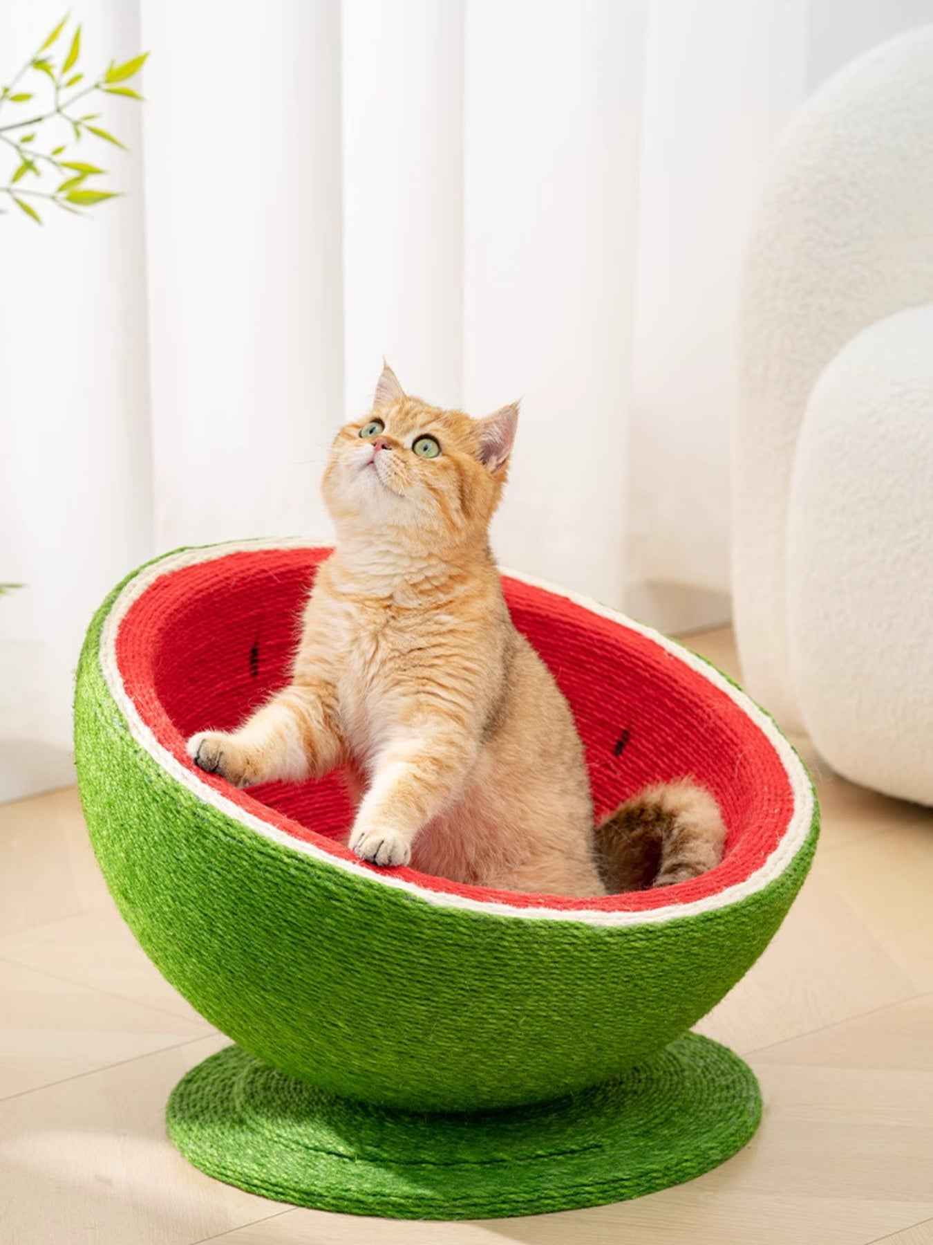 Cat Scratching Post Nest - Purr-fect Watermelon Shaped