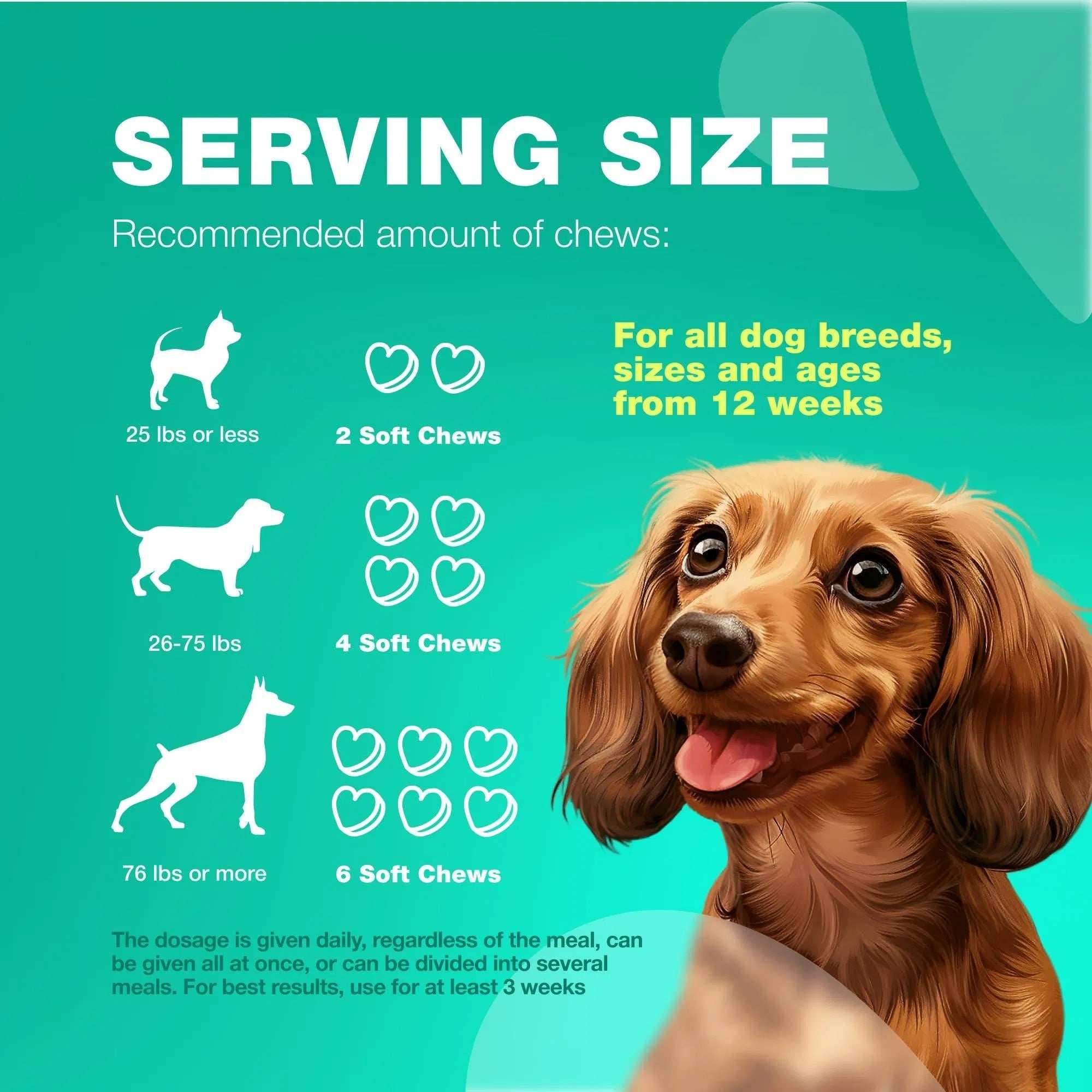 70 Probiotic Chews Support Gut Health, Yeast Balance, Itchy Skin and Allergies For Dogs