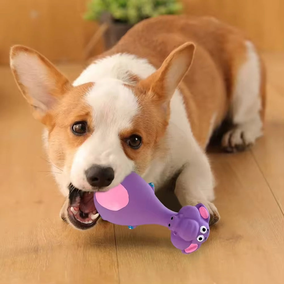 Dog Chew Toys Squeaky 4-Pack - Latex Dental Puppy Set